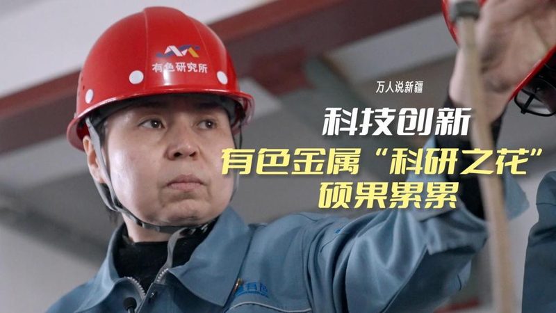 人工智能应用新篇章：深度解析最新安装案例**